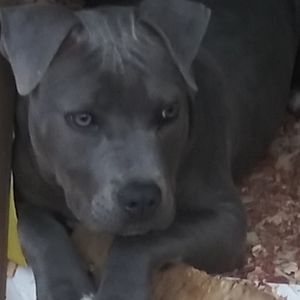 Meet your Posher, Charles